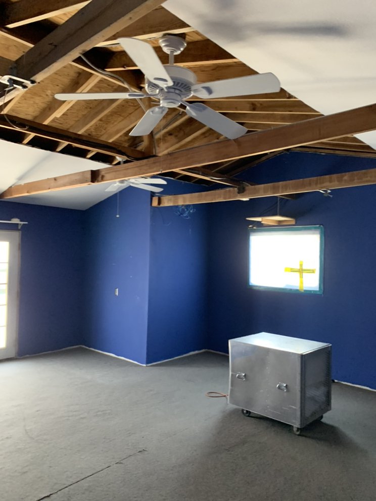 Rapid Response Mold Testing - mold inspector in Cudahy, CA