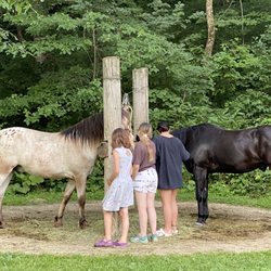 Volga River Recreation Area - Horse camping with Cody and Ruger