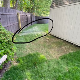 Circled is the working sprinkler head that rotates over the entire affected area. Compared to the Dog pee picture, this is not the issue! Circled is the working sprinkler head that rotates over the entire affected area. Compared to the Dog pee picture, this is not the issue!