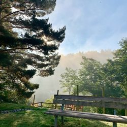 Parc du Château - Un parc superbe