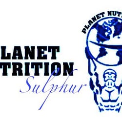 Planet Nutrition Sulphur