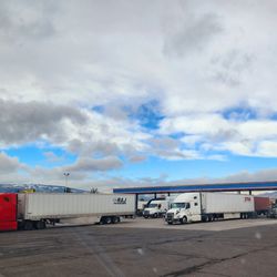 Diesel Fuel Pumps