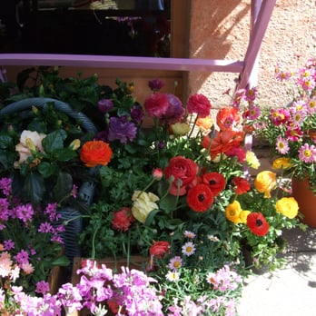Blumen W. Fritzen - Florists Near Me - Munich, BY Blumen W. Fritzen - Florists Near Me - Munich, BY