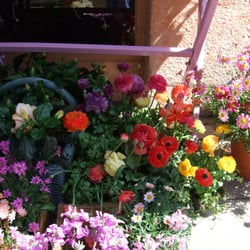 Blumen W. Fritzen