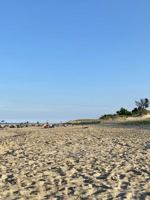Cape Henlopen State Park by null
