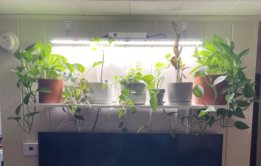 Slide of Big Iron Handyman