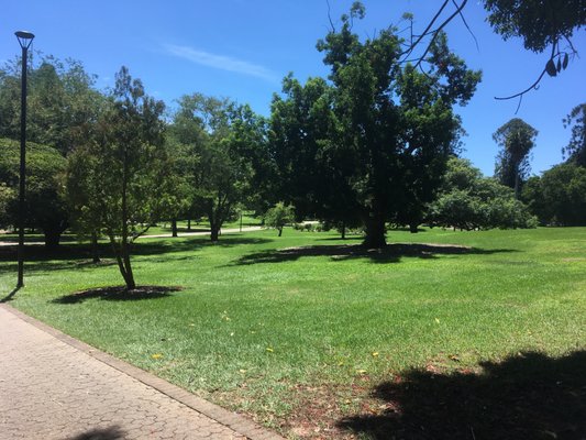 City Botanic Gardens by null