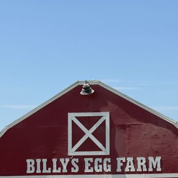 Billy's Egg Farm - Specialty Food Near Me - Chino, California Billy's Egg Farm - Specialty Food Near Me - Chino, California