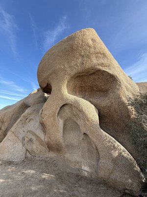 Joshua Tree Health Foods by null