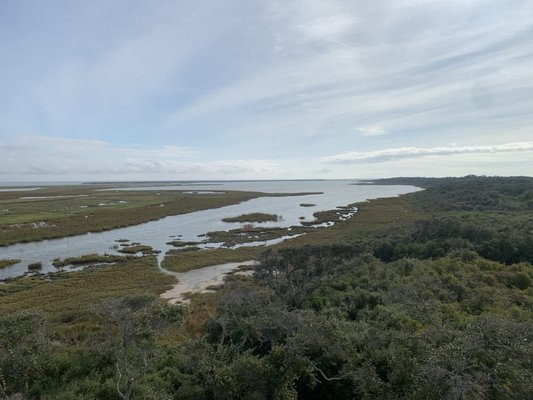 Aransas National Wildlife Refuge by null