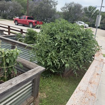 Taste Community Restaurant - Beautiful Garden - New American Near Me - Fort Worth, Texas