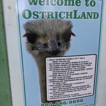 Ostrichland USA - A few signs to explain the experience - Attraction Farms Near Me - Solvang, California