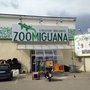 Photo of Zoomiguana