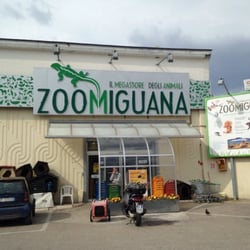 Zoomiguana