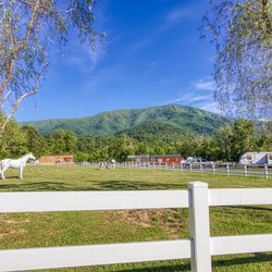 Cove Mountain Resorts - Cove MountainResorts