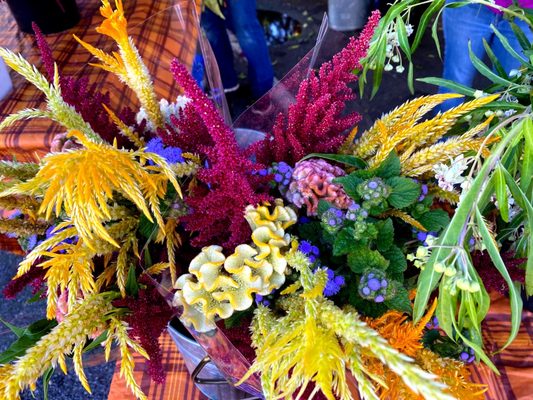 Collingswood Farmers' Market by null