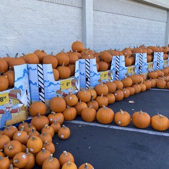 Safeway - Grocery Near Me - Sunnyvale, California Safeway - Grocery Near Me - Sunnyvale, California