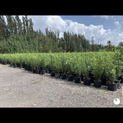 Modern Nature Nursery