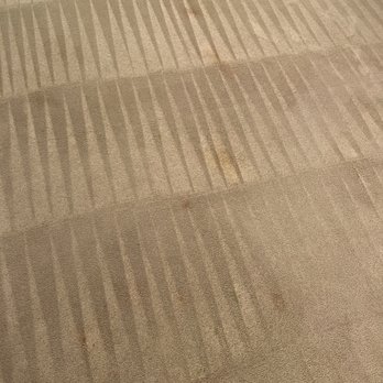 Cleaning Llamas - The stained spots were significantly improved - Carpet Cleaning Near Me - Buffalo Grove, Illinois