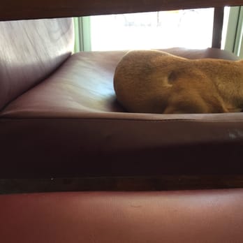 Diego's Hair Studio - Security Dog - Hair Salons Near Me - Sacramento, California