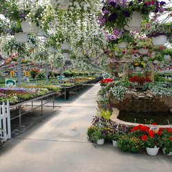 Vite Greenhouses