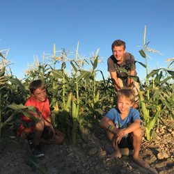 KiDZ Corn