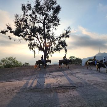 Sunset Ranch Hollywood Stables - Top of trail - Horseback Riding Near Me - Los Angeles, California Sunset Ranch Hollywood Stables - Top of trail - Horseback Riding Near Me - Los Angeles, California