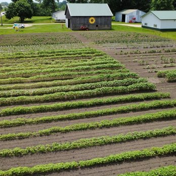 Bremer Produce - Pick Your Own Farms Near Me - Hudsonville, Michigan Bremer Produce - Pick Your Own Farms Near Me - Hudsonville, Michigan