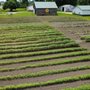 Photo of Bremer Produce