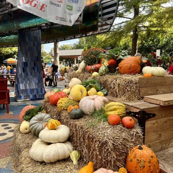 Myriad Botanical Gardens - Pumpkinville experience at the Myriad Botanical Gardens. October 2023. - Botanical Gardens Near Me - Oklahoma City, Oklahoma