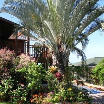 Balai Kona - Front of the house - Bed & Breakfast Near Me - Kailua-Kona, Hawaii