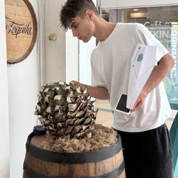 Viva Tequila - Blue Agave Pina