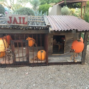 Enchanted Pumpkin Garden - Pumpkin Patches Near Me - Carefree, Arizona Enchanted Pumpkin Garden - Pumpkin Patches Near Me - Carefree, Arizona