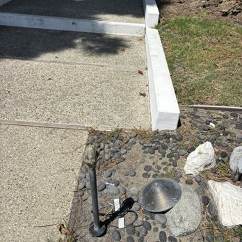 PMP Management - Plants lights broke - Homeowner Association Near Me - Los Angeles, California PMP Management - Plants lights broke - Homeowner Association Near Me - Los Angeles, California