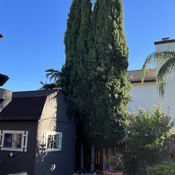 Sierra Country Tree & Landscape - a view of a backyard area - Landscaping Near Me - Auburn, California Sierra Country Tree & Landscape - a view of a backyard area - Landscaping Near Me - Auburn, California