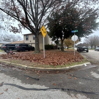 Muniz Tree Service - Before - Tree Services Near Me Muniz Tree Service - Before - Tree Services Near Me