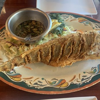 Tin Fish - Whole Yellowtail Snapper - New American Near Me - Sunrise, Florida Tin Fish - Whole Yellowtail Snapper - New American Near Me - Sunrise, Florida