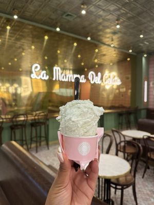 Anita La Mamma del Gelato by null
