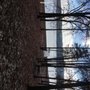 Photo of Jordans Rental Cabin