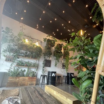 Leafy - The view - Asian Fusion Near Me - Pembroke Pines, Florida Leafy - The view - Asian Fusion Near Me - Pembroke Pines, Florida