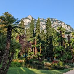 Hotel Du Lac et Du Parc - Grounds