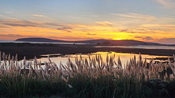 The Lodge at Bodega Bay by null
