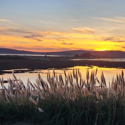 The Lodge at Bodega Bay - Sunset on Bodega Bay from the Lodge