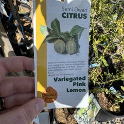 Green Hills Nursery, Inc