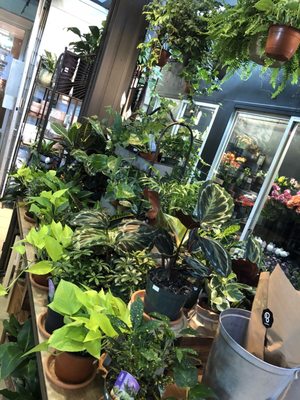 Maisonneuve Market by null