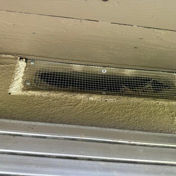 Rodent Control - Closed - Pest Control Near Me - Los Angeles, California Rodent Control - Closed - Pest Control Near Me - Los Angeles, California