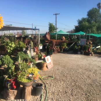 La Madrina’s Nursery - Nurseries & Gardening Near Me - Riverside, California