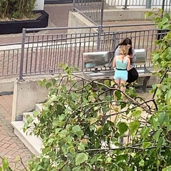 Father Collins Park - This is tourists in father Collins park - Parks Near Me - Dublin, D