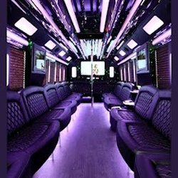 Tracey Nicoll's Limousine - Tracey Nicoll's Limo
Limo Bus