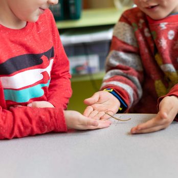 Kiddie Kampus Cooperative Preschool - classroom walking sticks - Preschools Near Me - Alameda, California